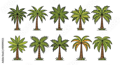 Collection of Diverse Palm Trees Variety in Stylized Vector Art for Tropical Designs