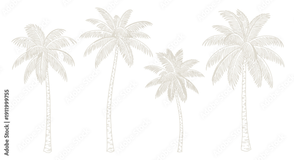 Obraz premium Set of Four Hand-Drawn Palm Trees, Tropical Beach Illustration, Vector Art