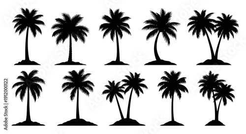 Collection of Silhouette Palm Trees in Various Styles for Tropical and Beach Designs
