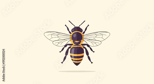 Stylized illustration of a honey bee with detailed wings against a plain background