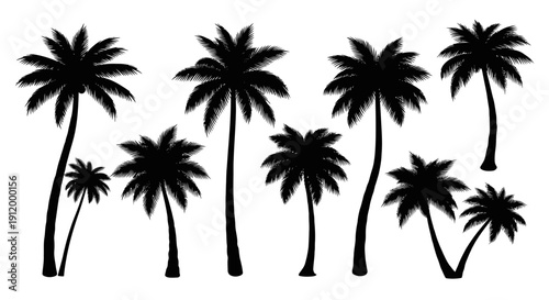 Collection of Silhouettes of Diverse Palm Trees on a White Background