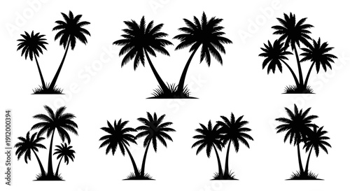 Collection of Diverse Palm Tree Silhouettes for Tropical and Beach Designs