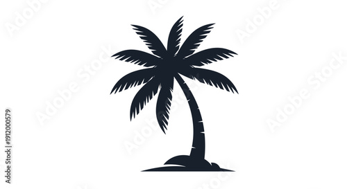 Silhouette of a Palm Tree on a Sandy Beach, Tropical Island Paradise Vacation