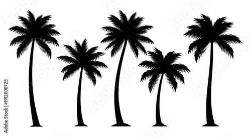 Silhouette of Five Tropical Palm Trees Against a White Background