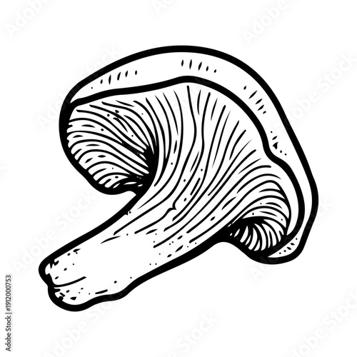 Chanterelle mushroom sketch vector hand drawn. Edible food. Plant protein. Healthy eating. Delicacy. Vegetarian. Line art illustration.