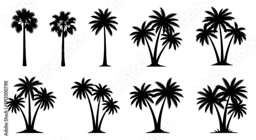 Set of Tropical Palm Tree Silhouettes for Beach and Island Designs