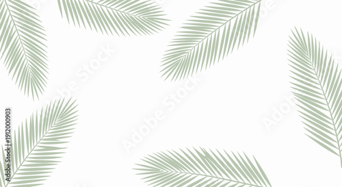 Minimalist Tropical Palm Leaf Pattern on White Background, Elegant Summer Botanical Design