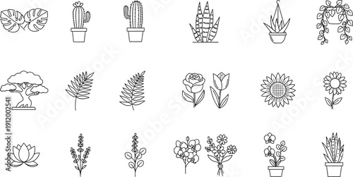 Collection of various stylized black and white line art icons depicting different types of potted plants tropical leaves blossoming flowers and succulent varieties for design projects