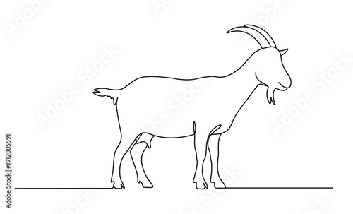Goat silhouette standing in rural farm setting with detailed horns beard and udders images