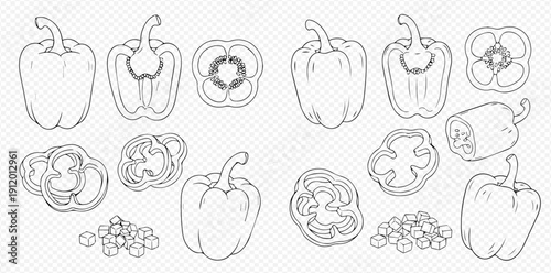 Bell pepper outline set with whole, half, sliced, and seeds for cooking.
