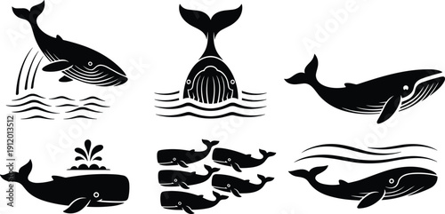 Vector, black, silhouette, set, of, majestic, whales, including, humpback, and, sperm, whales, breaching, swimming, and, spouting, water, for, ocean, nature, and, marine, life, design