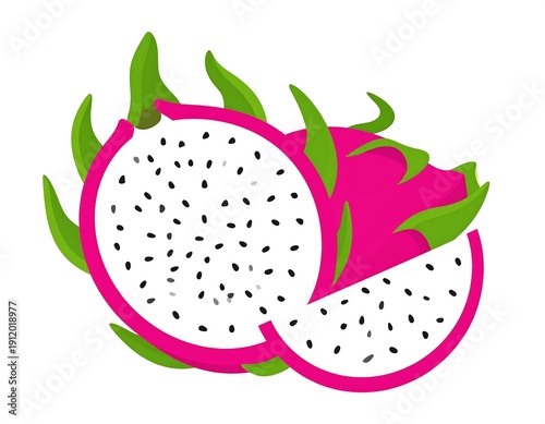 Sliced dragon fruit illustration with vivid pink rind, white flesh, tiny black seeds, and green bracts on white