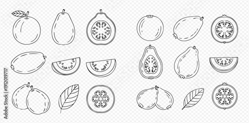 Set of hand-drawn guava and feijoa fruits, whole, sliced, and with leaves, in outline style on transparent background.