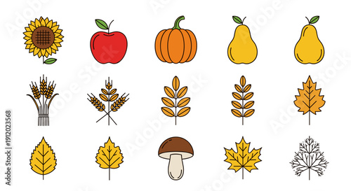 Set of Fall Leaves and Autumn Harvest Fruits