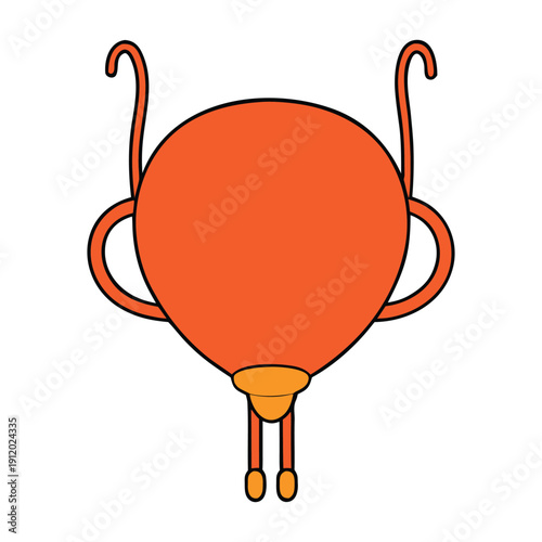 The urinary bladder is a hollow, muscular organ in the pelvis that stores urine from the kidneys and releases it during urination. It expands as it fills and contracts to empty through the urethra.
