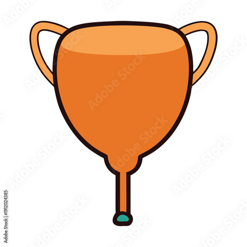 The urinary bladder is a hollow, muscular organ in the pelvis that stores urine from the kidneys and releases it during urination. It expands as it fills and contracts to empty through the urethra.
