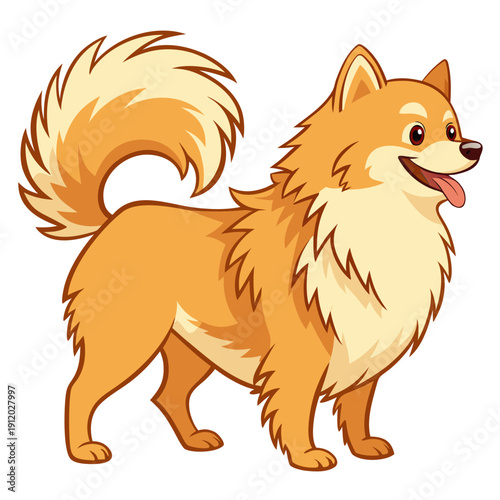 premium vector illustration of fluffy pomeranian dog, standing cheerful pomeranian with tongue out, golden orange fur flat vector art
