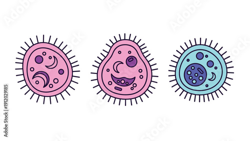 Group of three biological cell illustrations with different internal structures in shades of purple and blue on a white background.