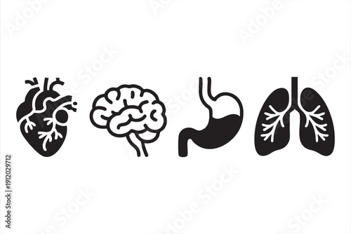 Healthcare diagram elements featuring vital organs
