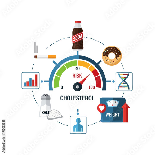Cholesterol Risk Factors: Unhealthy Lifestyle, Diet, Smoking, Weight Gain, Genetics