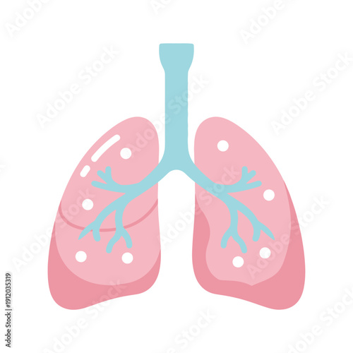 Illustration of human lungs with visible alveoli and bronchi, medical concept