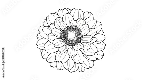 Detailed black and white line art illustration of a beautiful daisy flower with numerous petals and a textured center.