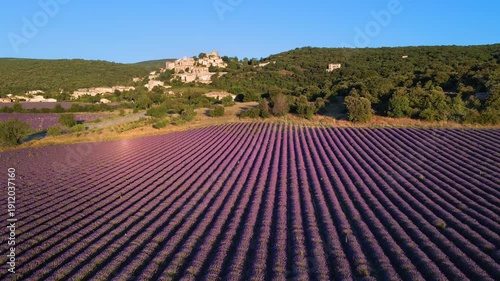 Aerial view of Provence lavender fields and the hilltop perched village of Simiane-la-Rotonde. Summer in Alpes-de-Hautes-Provence, France