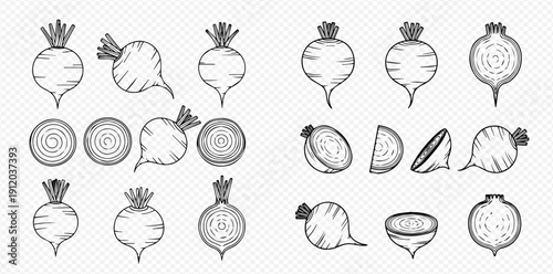 Beetroot hand-drawn sketch set. Organic healthy vegetable collection. Whole and sliced beets in vintage style.