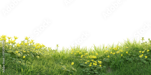 Verdant Hill Blooming with Yellow Flowers in Spring. 3D render.	
