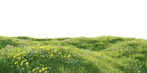 Keuken achterwand Duingras Groene heuvel met gele lentebloemen  © snesivan