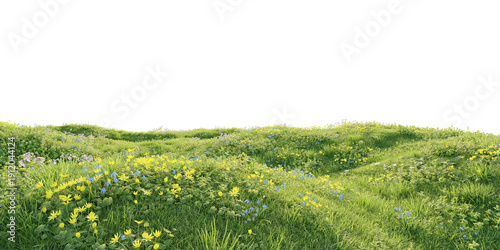 Verdant Hill Blooming with Yellow Flowers in Spring. 3D render.	
