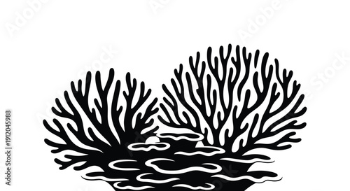 Black and white illustration of coral reef branches and wavy water