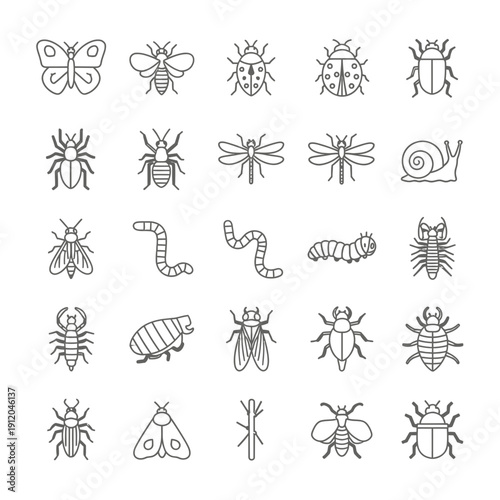 Large Collection of Outline Insect and Bug Icons Vector Set on White Background.