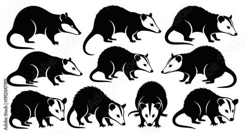 Detailed opossum silhouette icons for wildlife themes