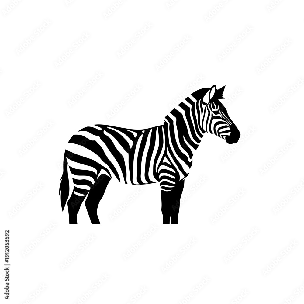 Fototapeta premium Black and White Zebra Silhouette Standing on White Background