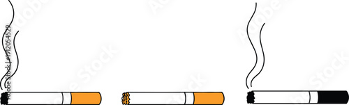Burning cigarette stages illustration with smoke, ash and filter, tobacco smoking process vector on white background