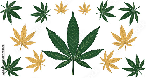 Detailed green and gold cannabis leaf vector illustration set isolated on white background, decorative marijuana botanical design collection