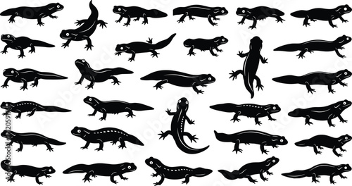 Black silhouette salamander icons set, amphibian wildlife vector illustration collection, reptile design elements, nature animal pattern, exotic creature isolated poses
