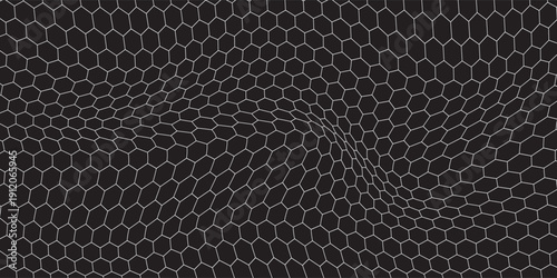 Black and white honey hexagonal cells background. geometric hive hexagonal honeycombs. Vector illustration