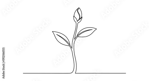 vector illustration of a plant