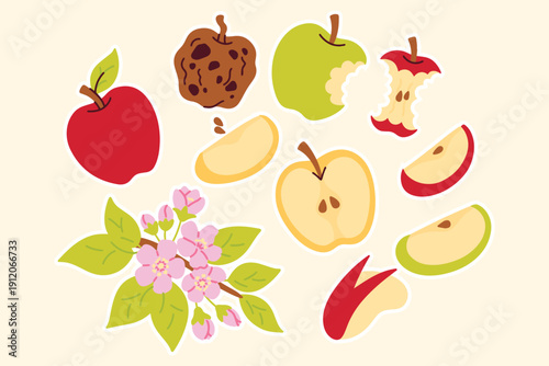 Educational set showing apples in various colors and conditions, including whole fruits, bitten parts, and a rotten core. Features a blooming spring branch with pink flowers and green leaves.