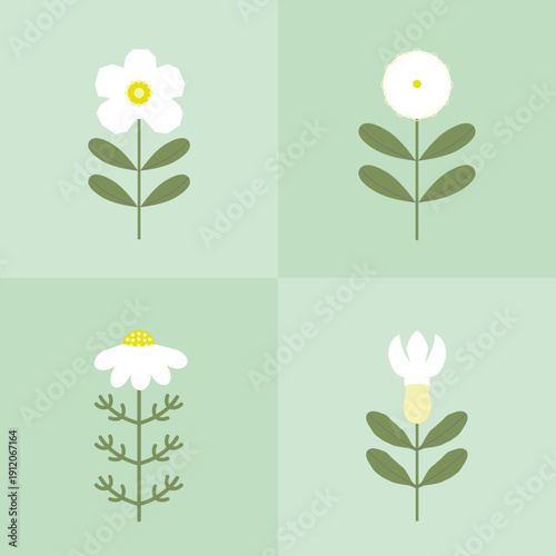 Four stylized white flowers on mint green background - flat design botanical set