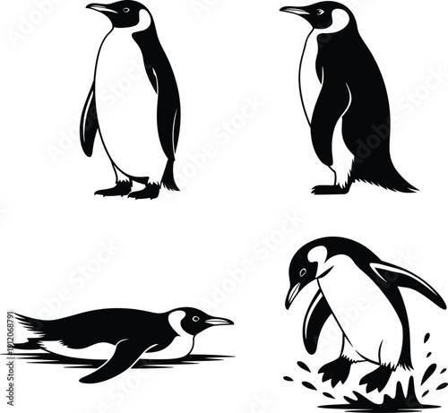 Penguin silhouettes collection featuring standing, walking, swimming, and sliding poses, detailed Antarctic birds isolated on white background, wildlife vector illustration set.