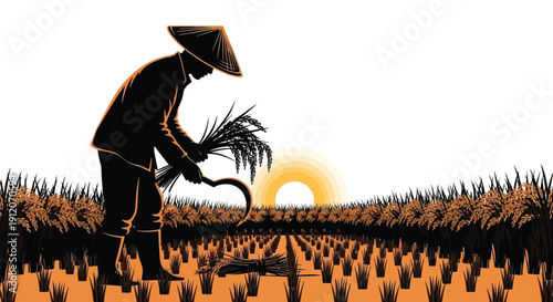 Silhouette of a farmer harvesting rice at sunset in a field
