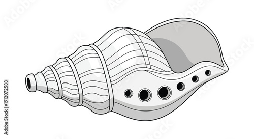 A detailed line drawing of a spiral seashell with visible apertures