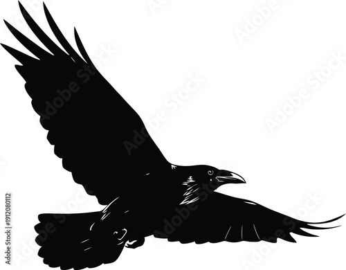 Black Crow Flying Isolated on White Background