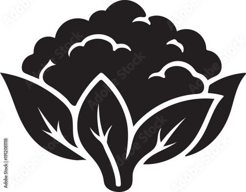 Cauliflower Silhouette Vector Icon on White Background