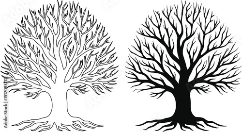 Set of hand drawn bare tree silhouettes with roots, winter deciduous tree vector illustration isolated on transparent background.