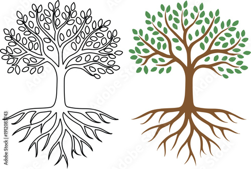 Tree of life with roots and green leaves vector illustration, symbolic nature icon set