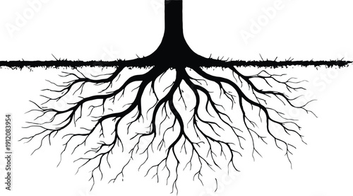 Detailed Tree Roots Silhouette Underground Landscape Vector Illustration
